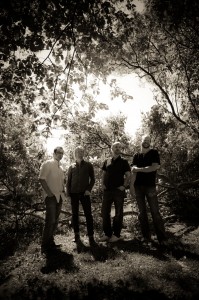 DLA BW1 2011